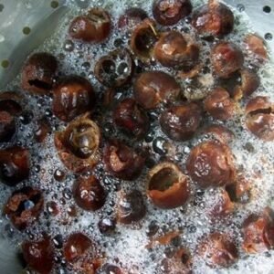 Organic Soap Nut Berries – Natural Cleaning Solution